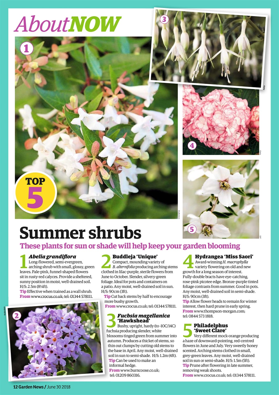 Garden News Preview Pages
