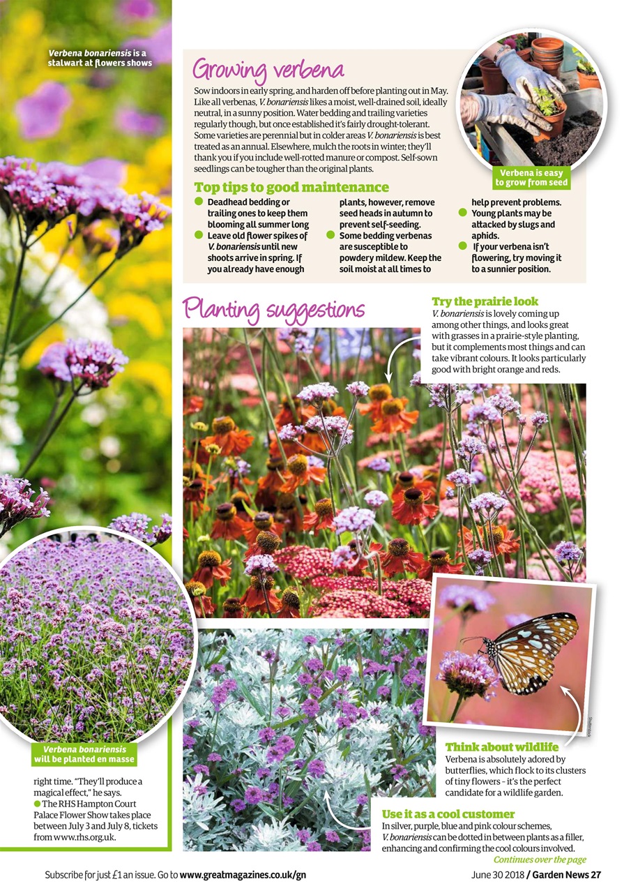 Garden News Preview Pages