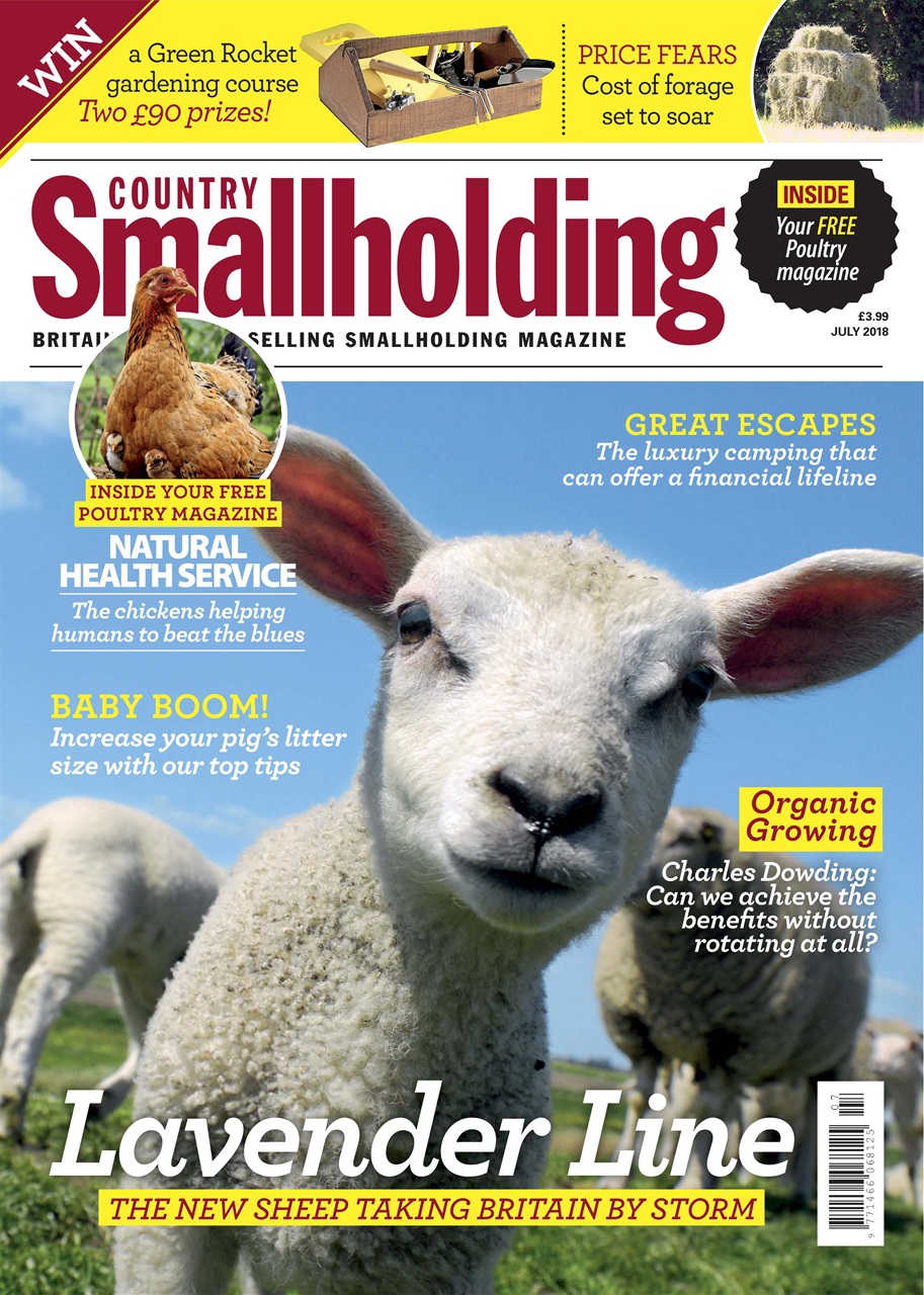 The Country Smallholder Preview Pages