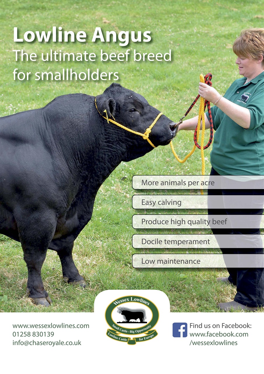 The Country Smallholder Preview Pages