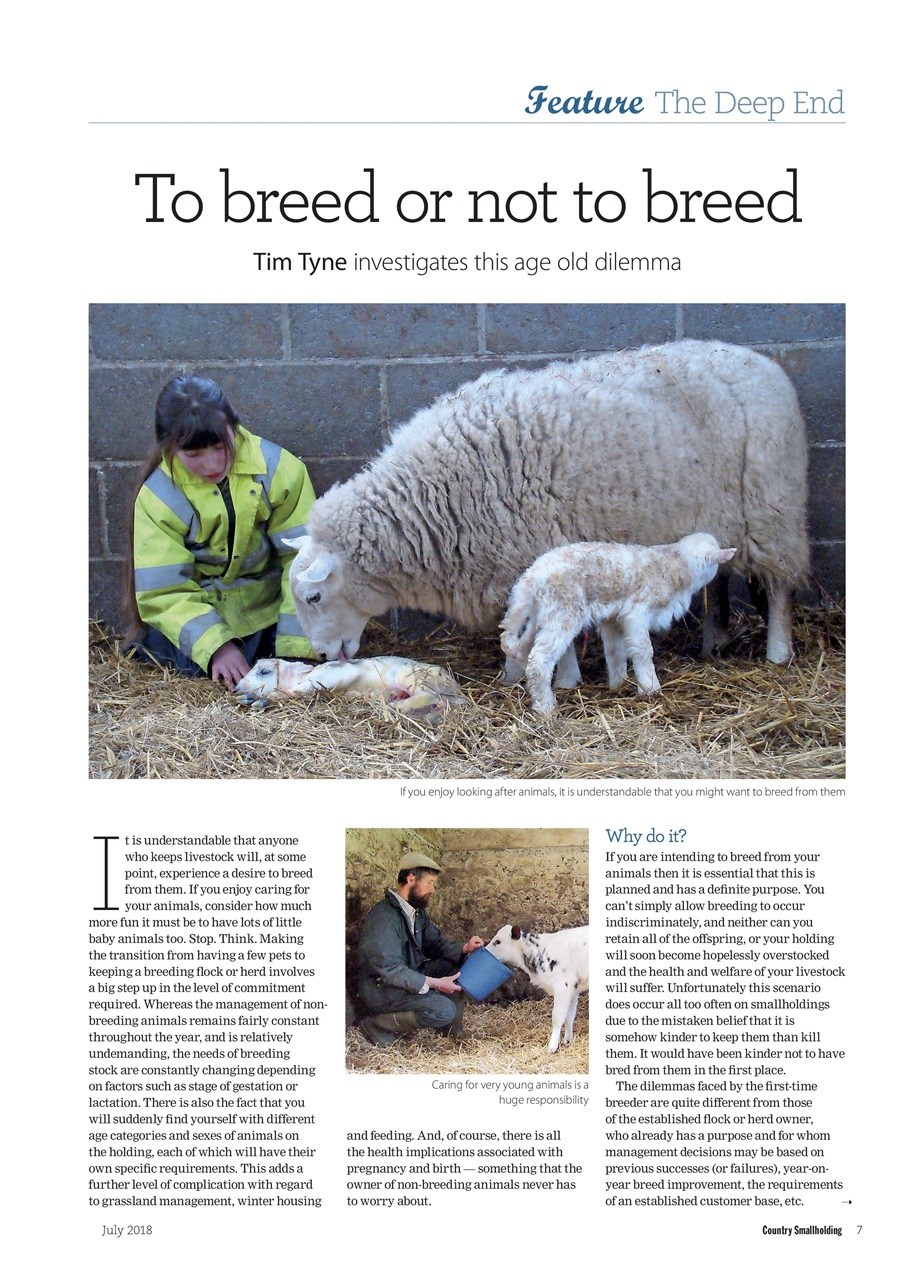 The Country Smallholder Preview Pages