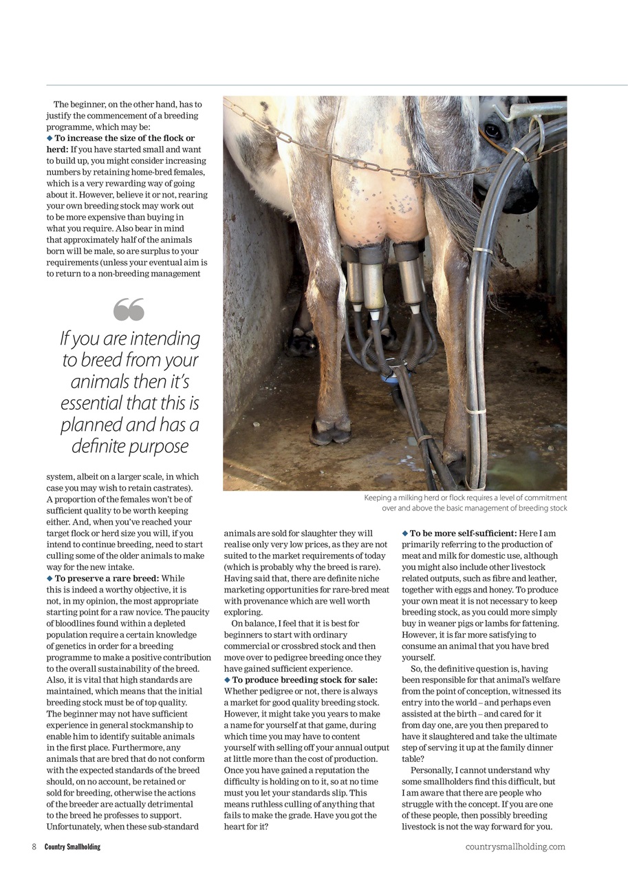 The Country Smallholder Preview Pages
