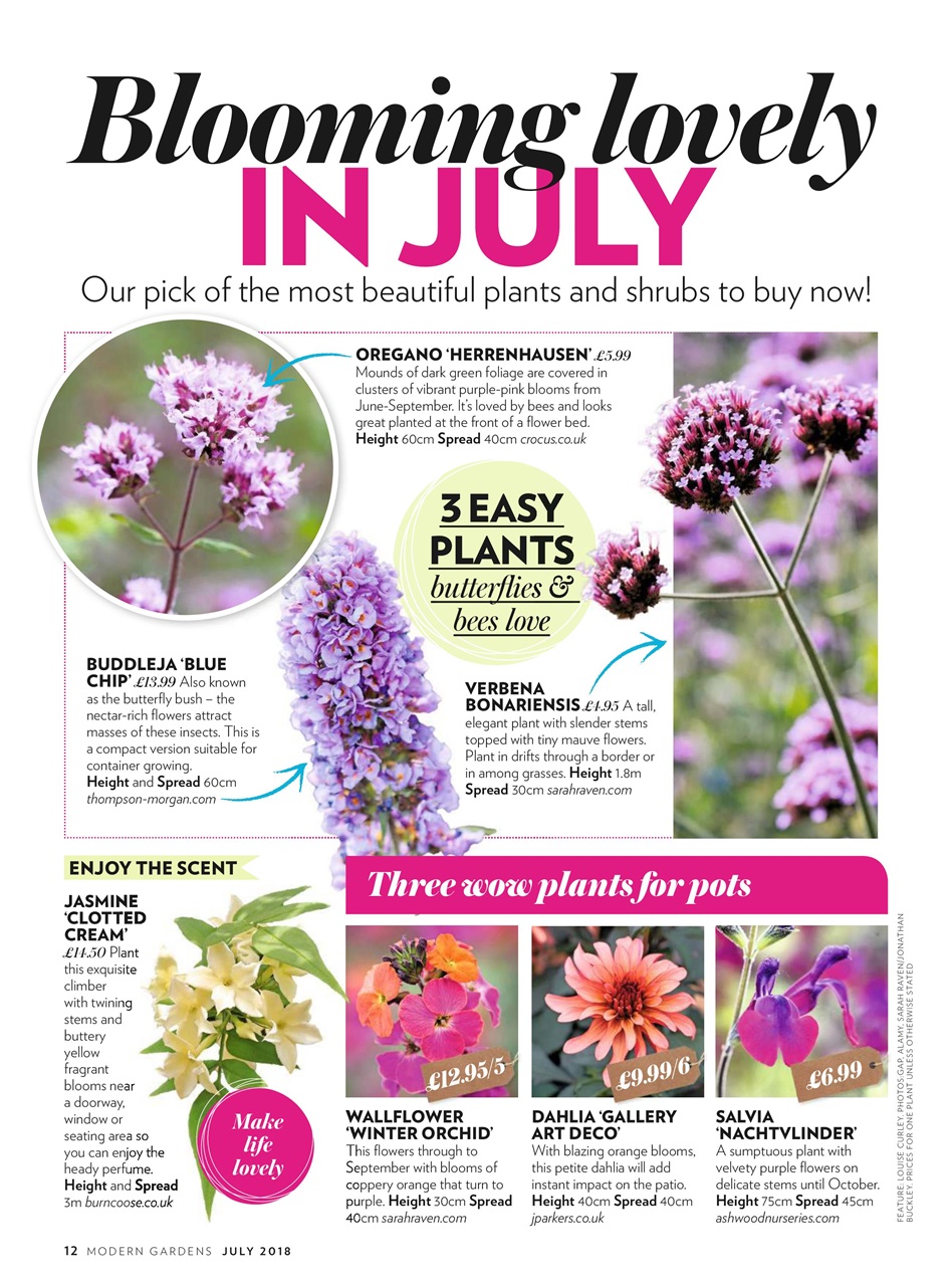 Modern Gardens Preview Pages