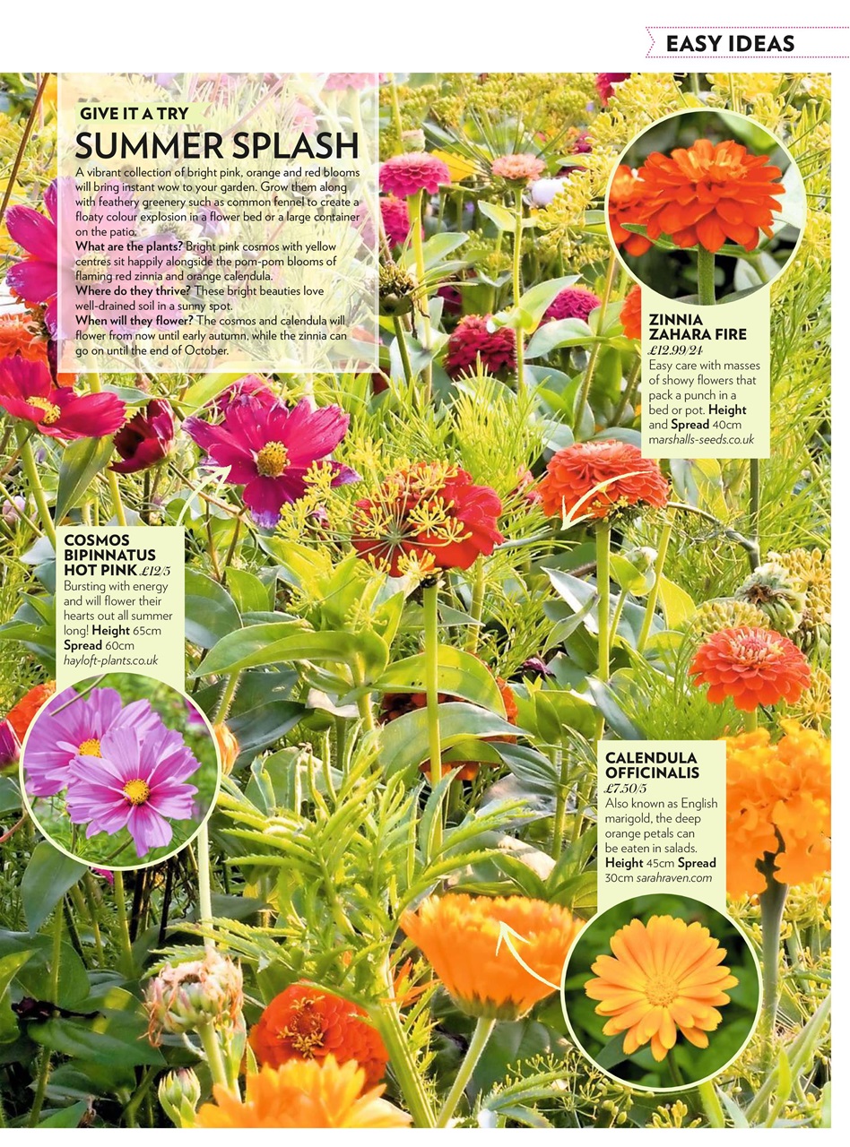 Modern Gardens Preview Pages