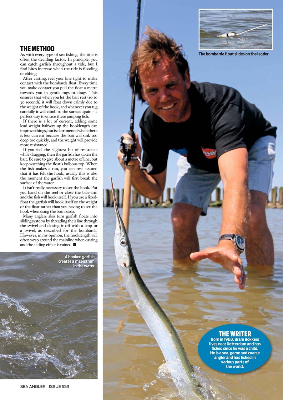 Sea Angler Preview Pages