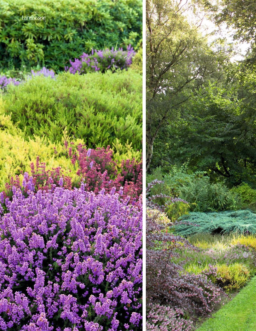 LandScape Preview Pages