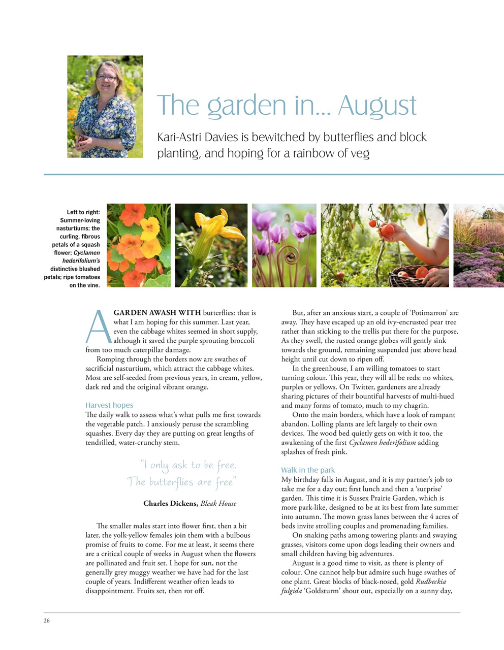 LandScape Preview Pages