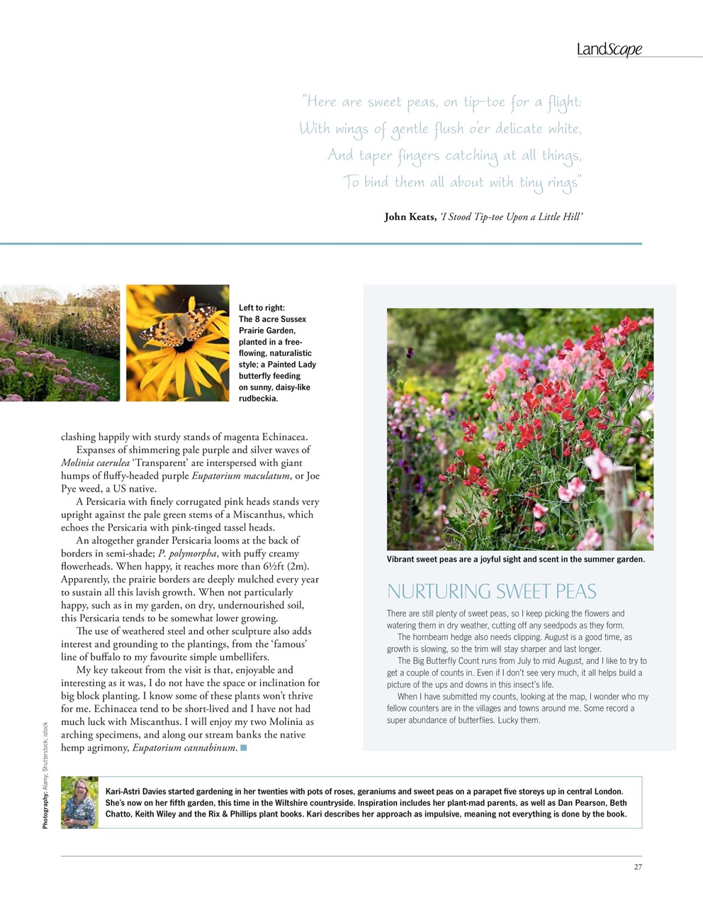 LandScape Preview Pages