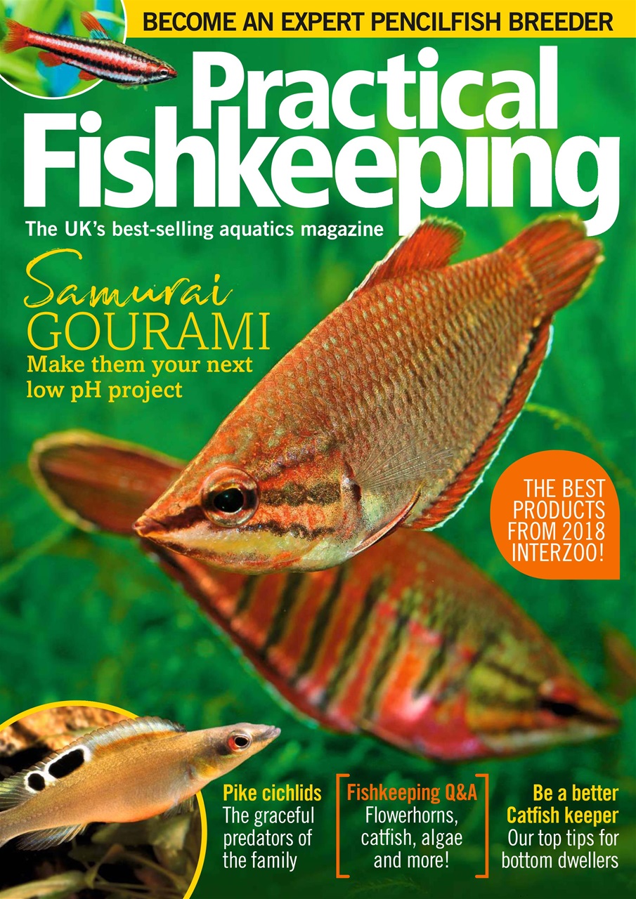 Practical Fishkeeping Preview Pages