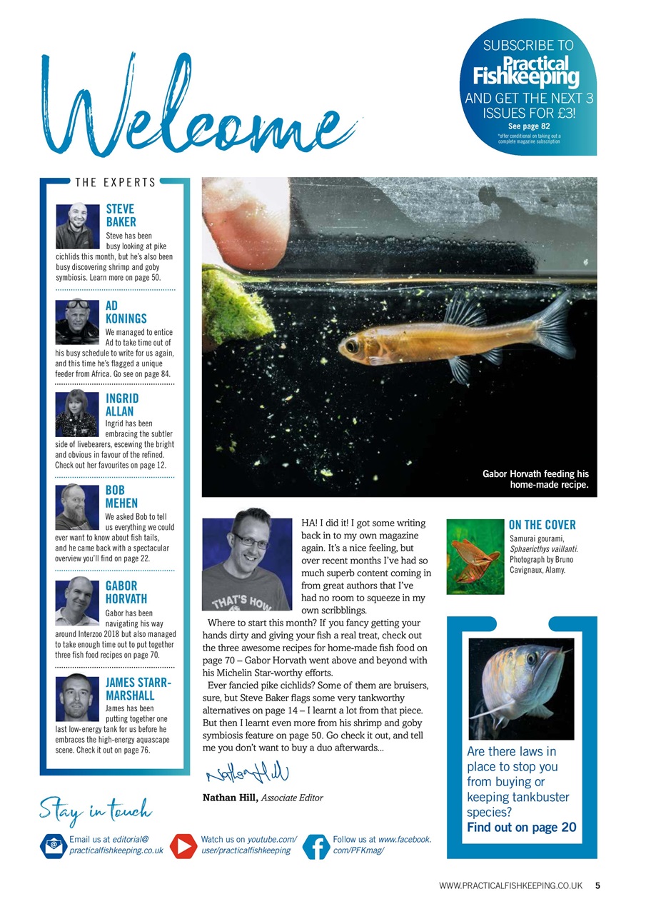 Practical Fishkeeping Preview Pages