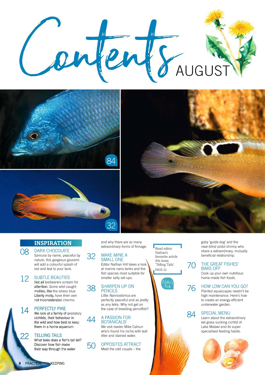 Practical Fishkeeping Preview Pages