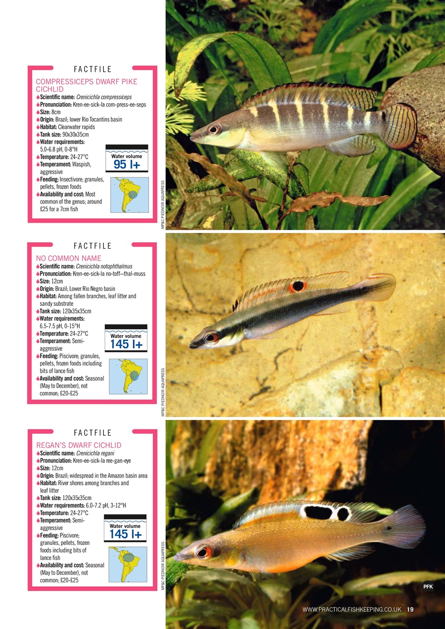 Practical Fishkeeping Preview Pages