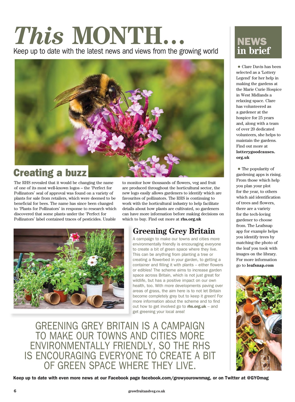 Grow Your Own Preview Pages