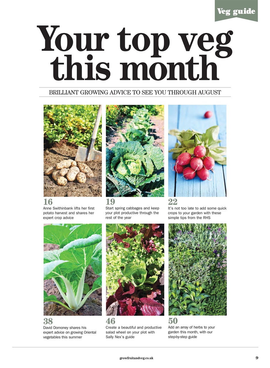 Grow Your Own Preview Pages