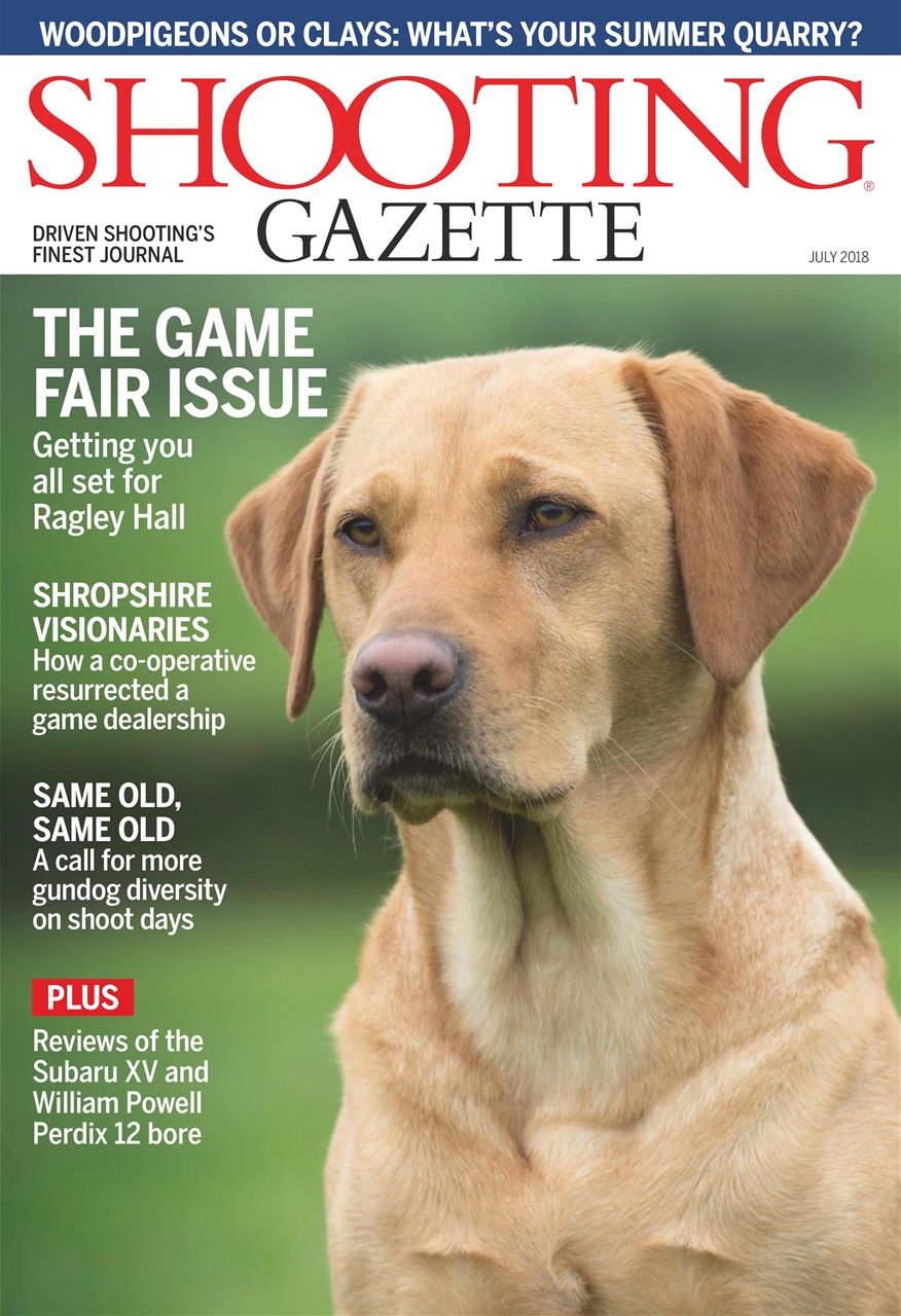 Shooting Gazette Preview Pages