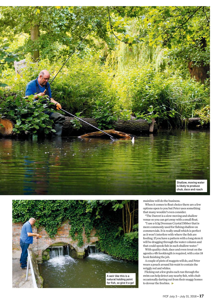 Improve Your Coarse Fishing Preview Pages