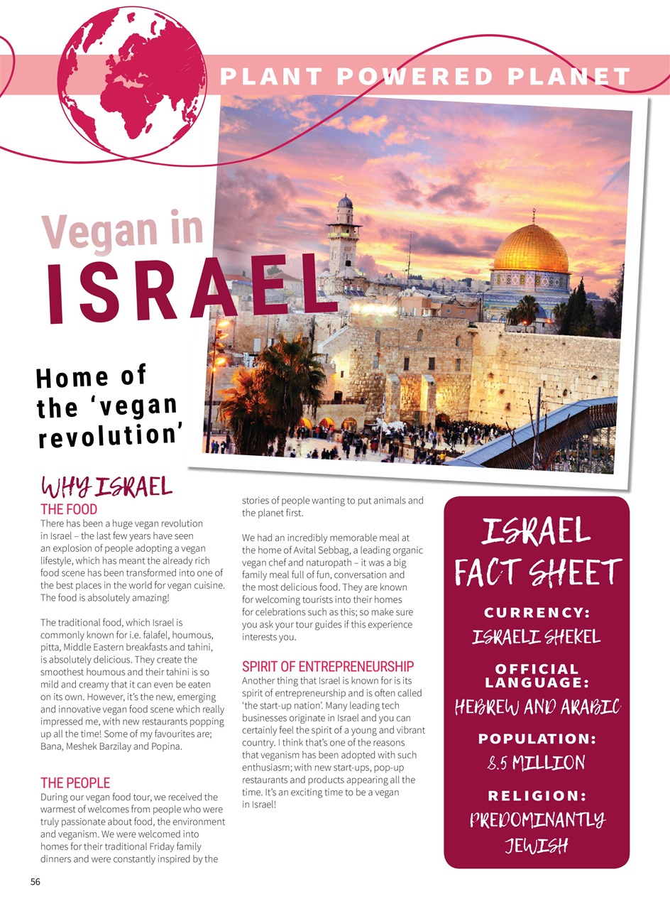 PlantBased Preview Pages