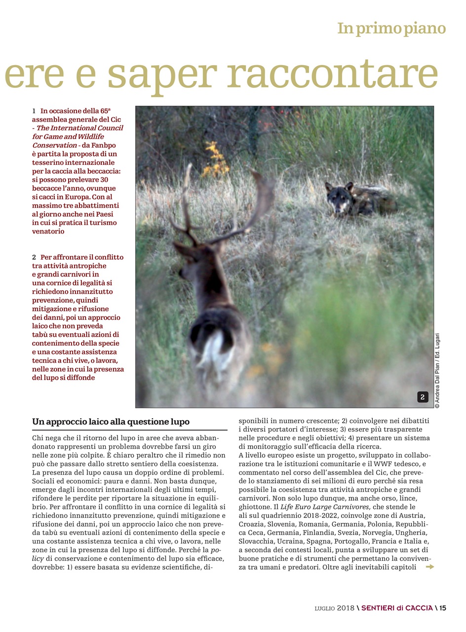 SENTIERI DI CACCIA Preview Pages