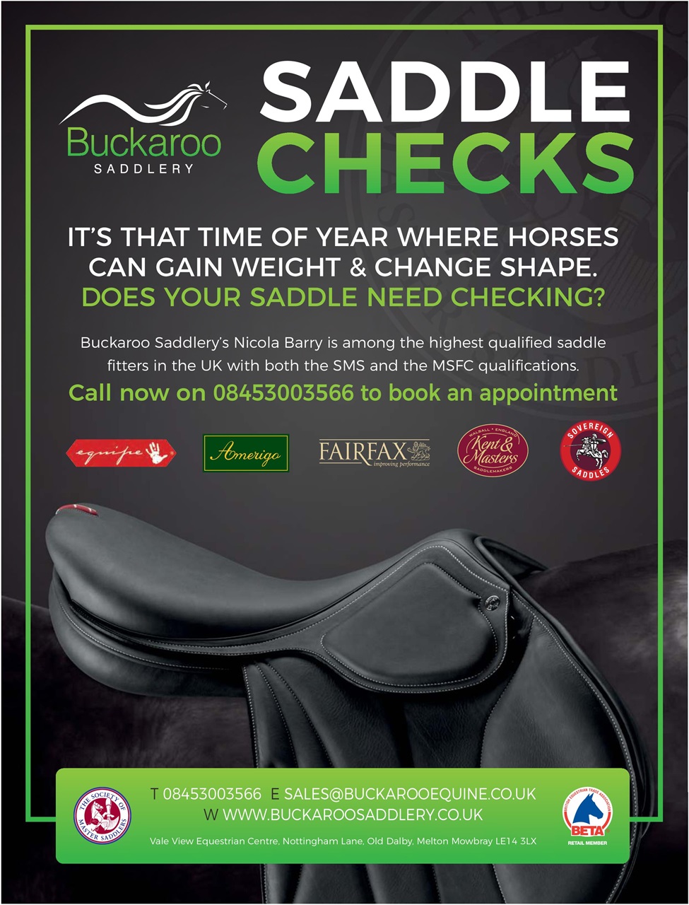Equestrian Life Magazine Preview Pages