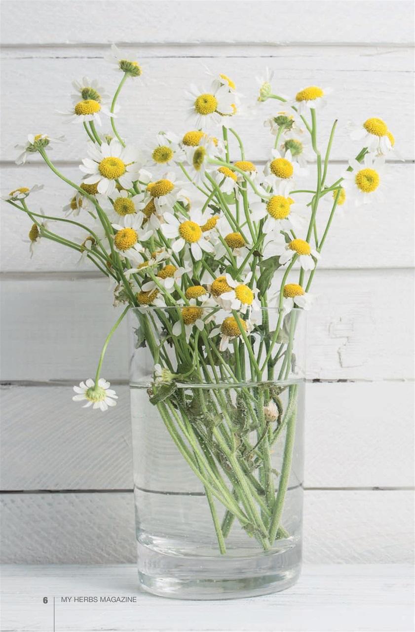 My Herbs Magazine Preview Pages