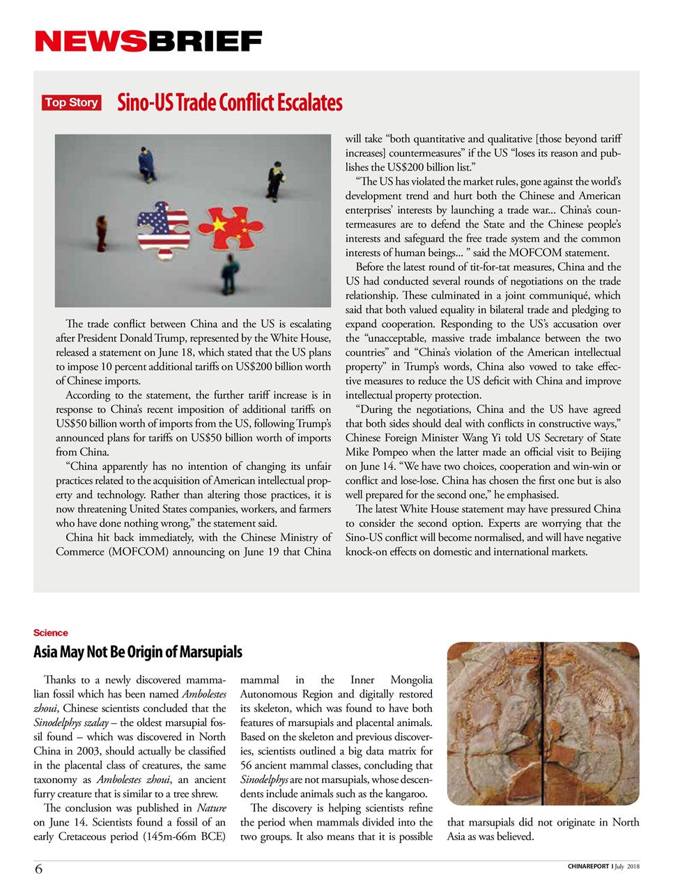 China Report Preview Pages