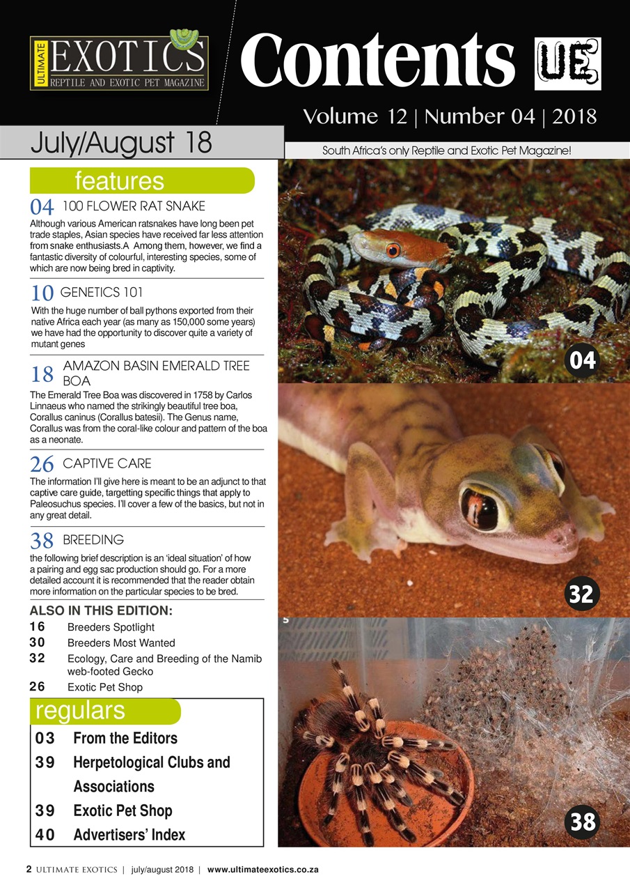 Ultimate Exotics Preview Pages