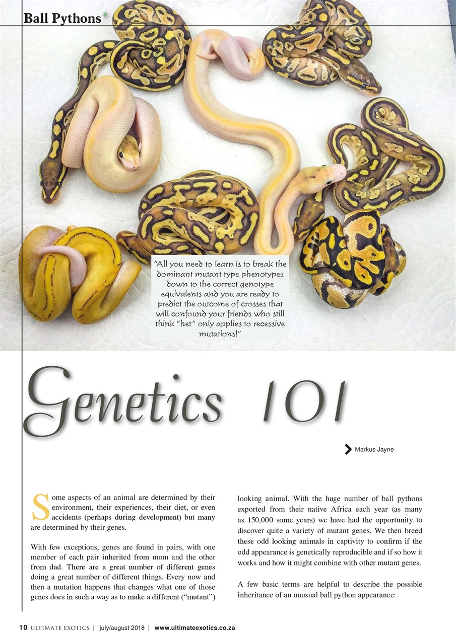 Ultimate Exotics Preview Pages