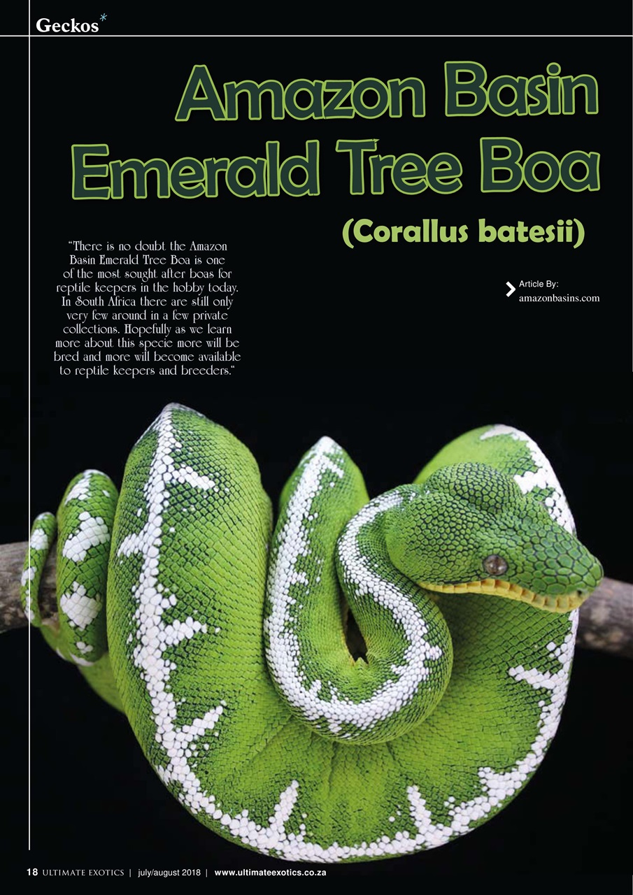 Ultimate Exotics Preview Pages