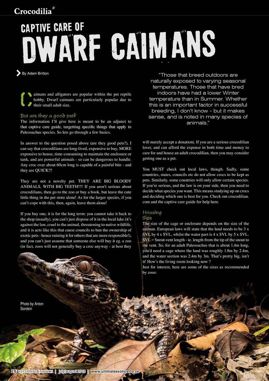 Ultimate Exotics Preview Pages