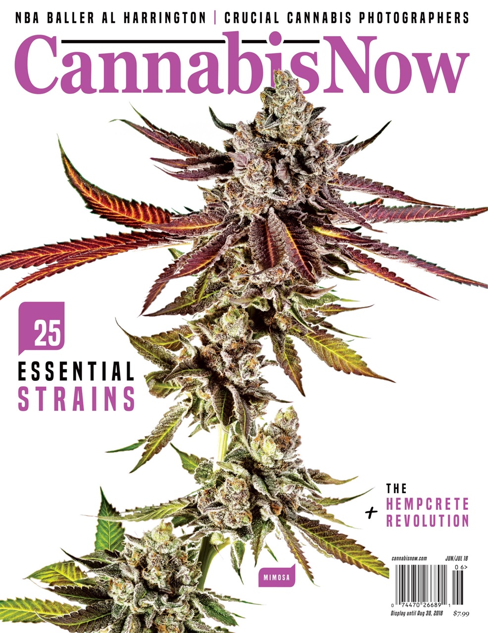 Cannabis Now Preview Pages