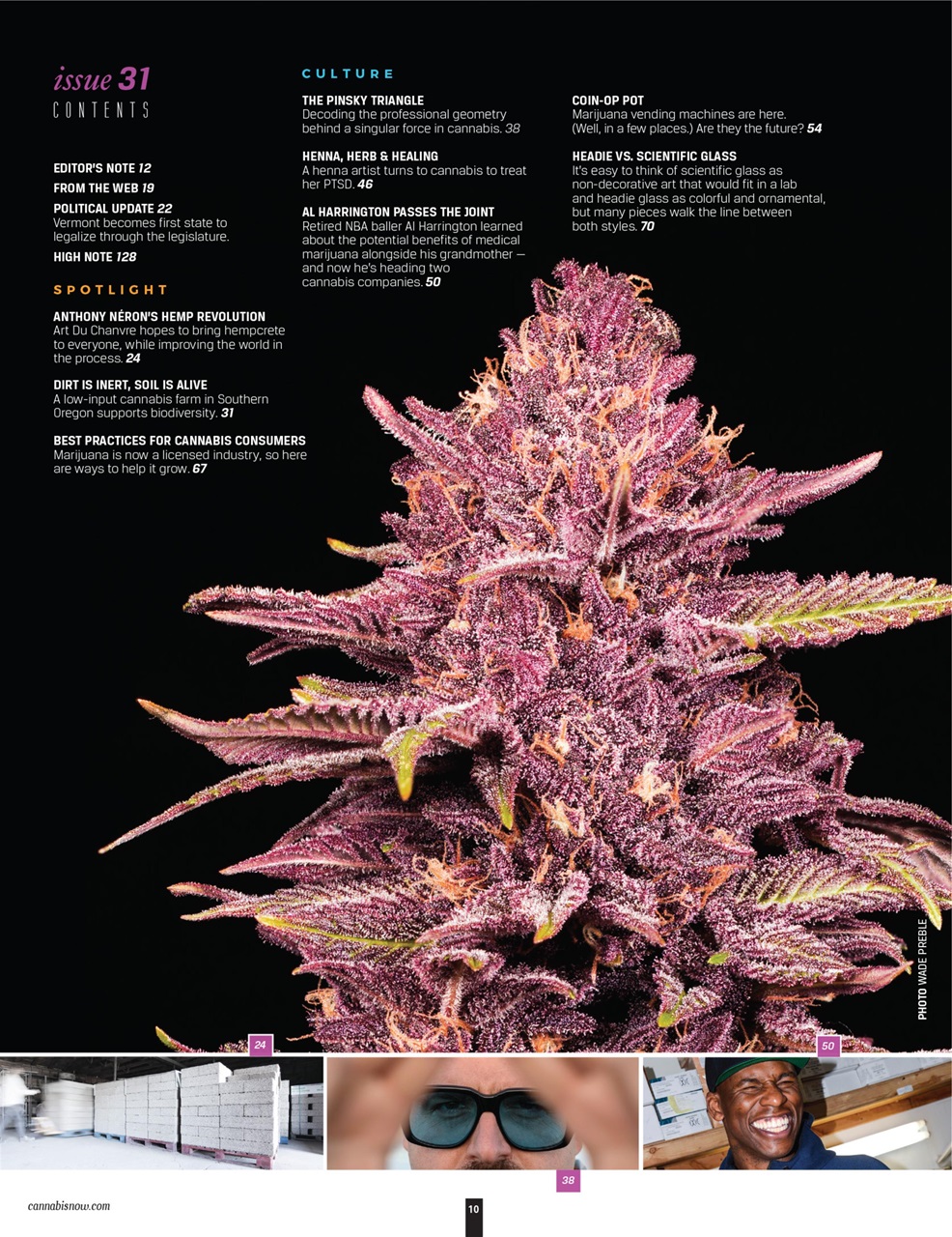Cannabis Now Preview Pages