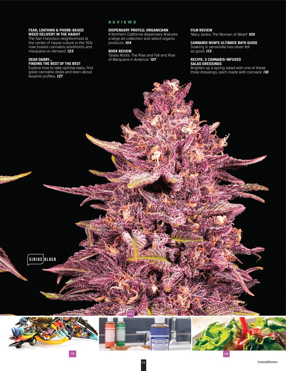 Cannabis Now Preview Pages