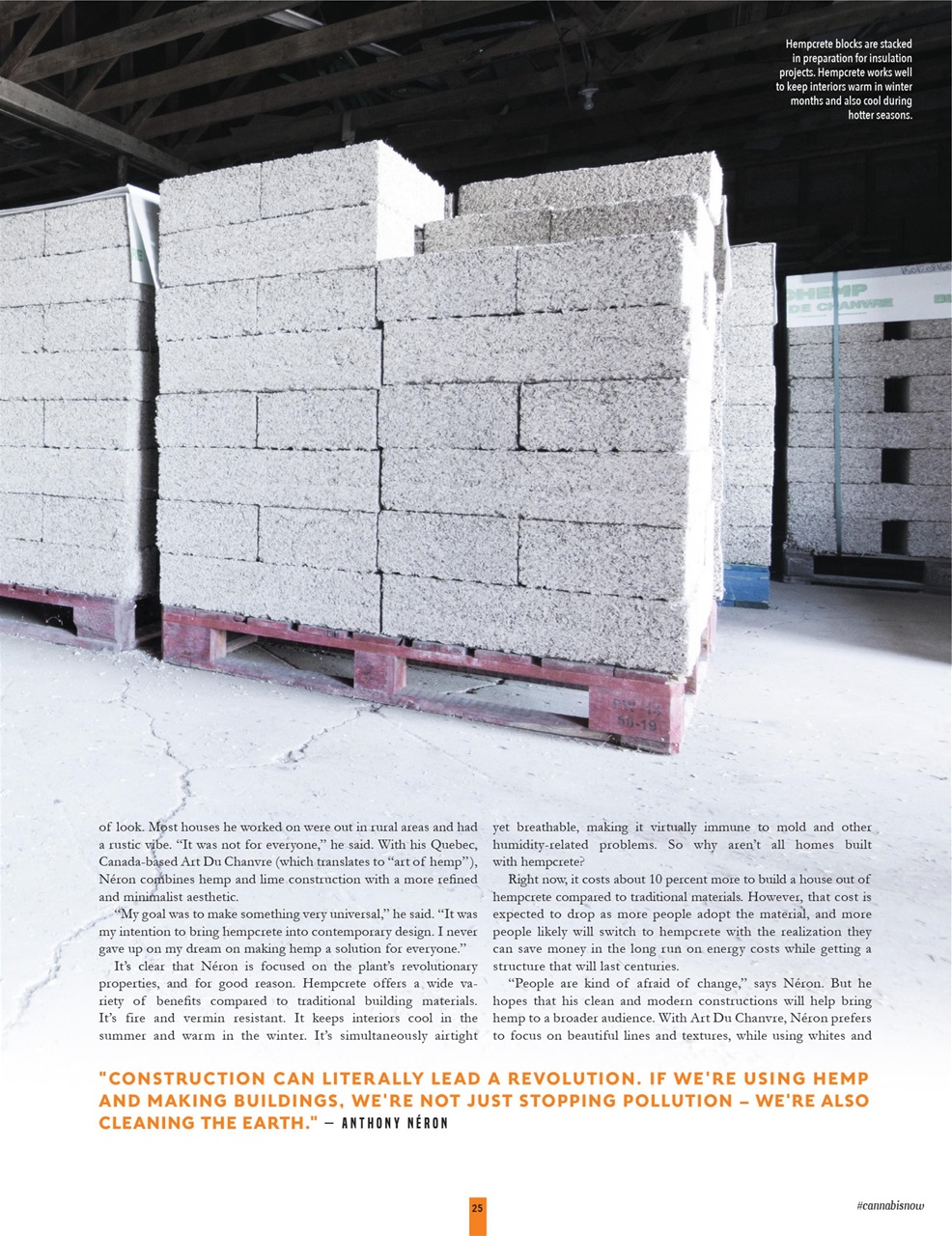 Cannabis Now Preview Pages