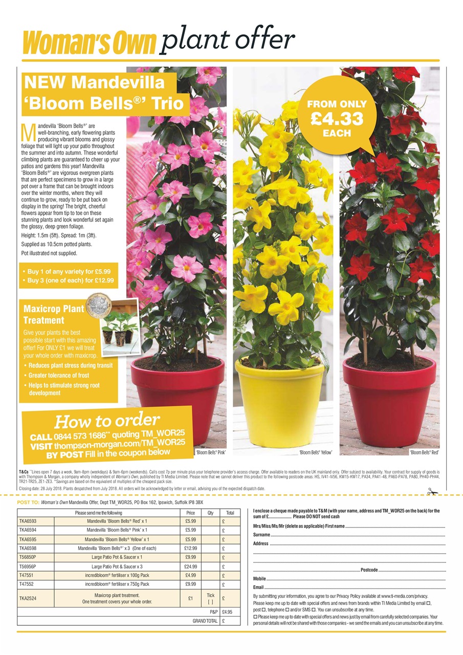 Woman's Own Preview Pages