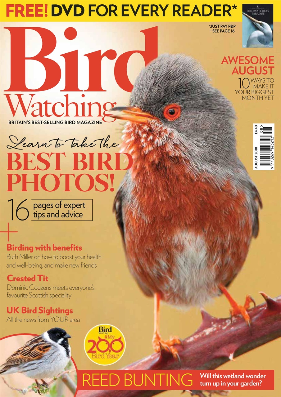 Bird Watching Preview Pages