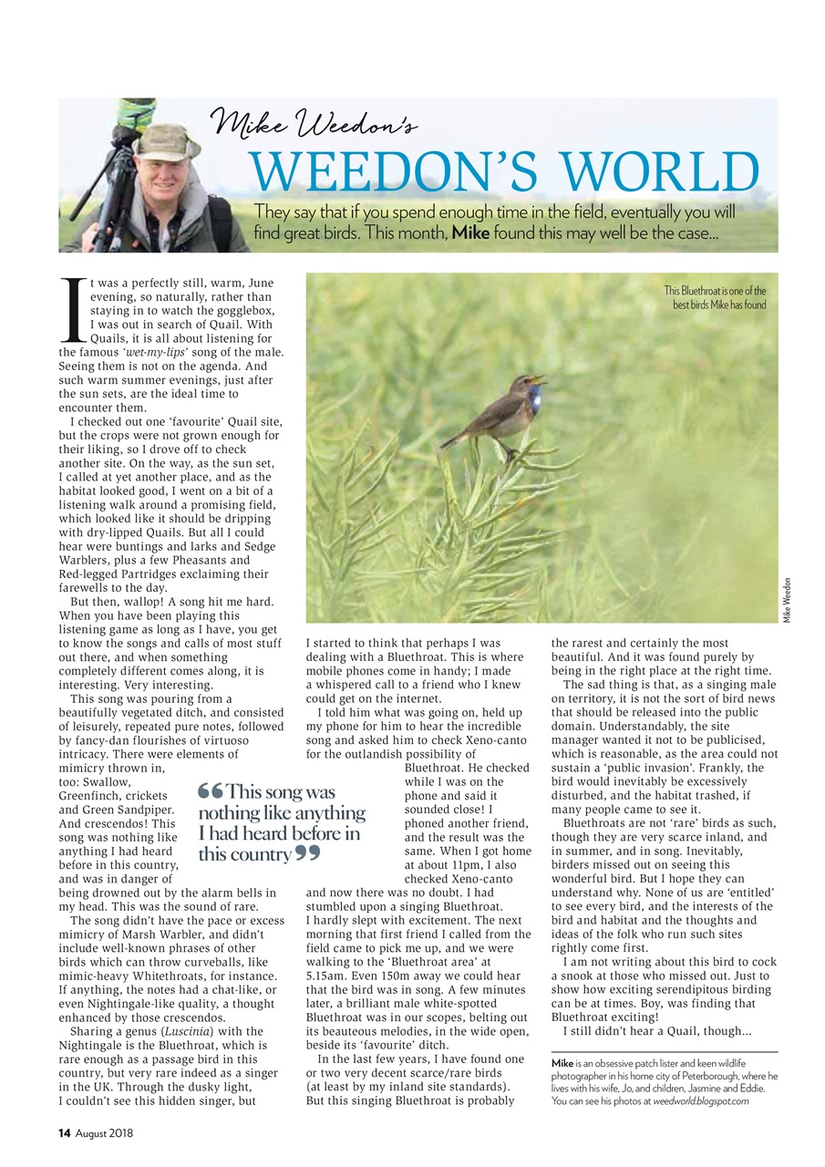 Bird Watching Preview Pages