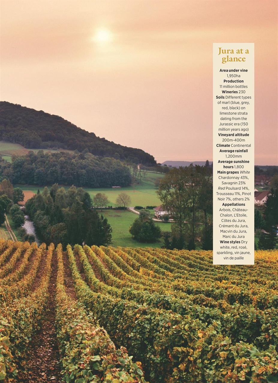 Decanter Preview Pages