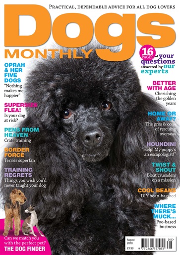 Dogs Monthly issue 