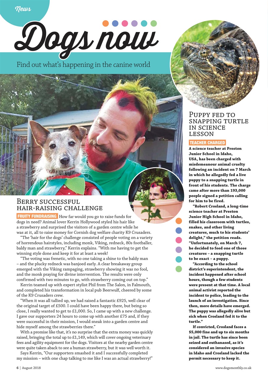 Dogs Monthly Preview Pages