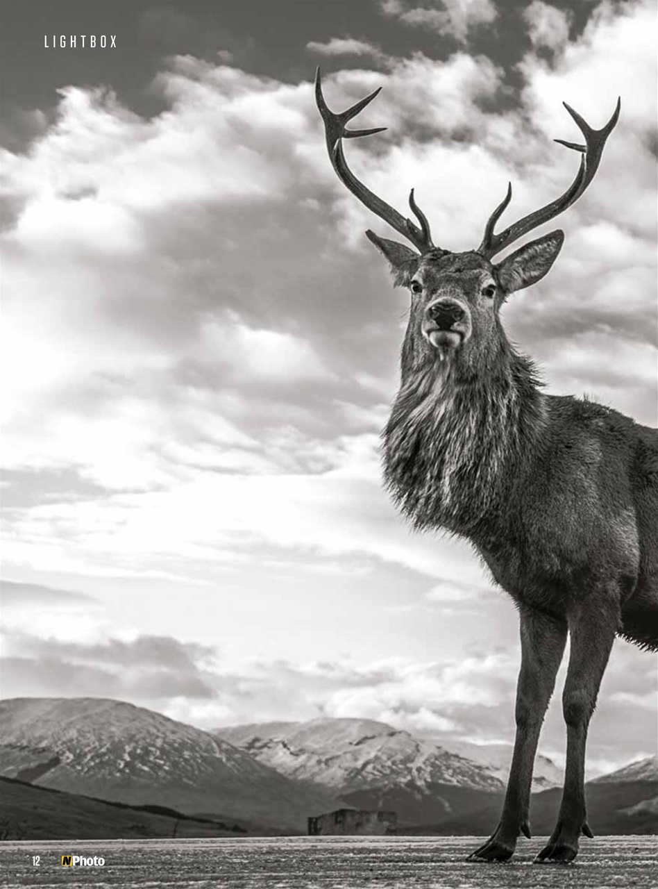 N-Photo Preview Pages