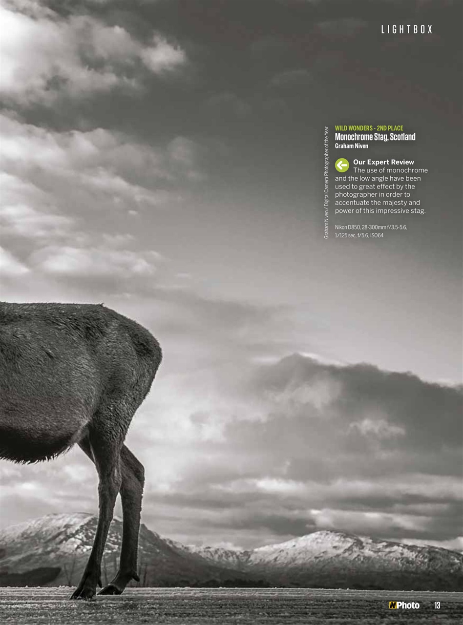 N-Photo Preview Pages