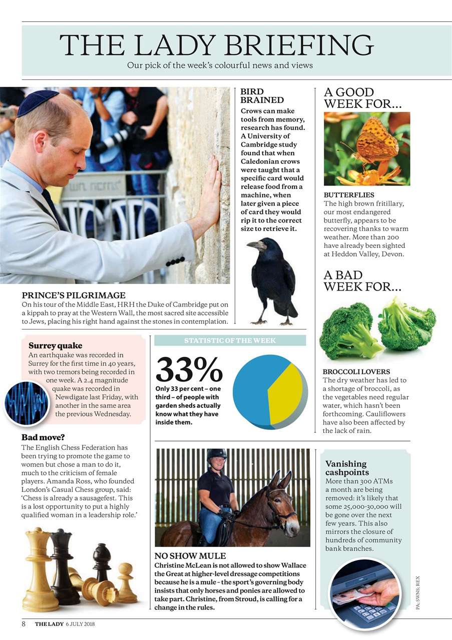 The Lady Preview Pages