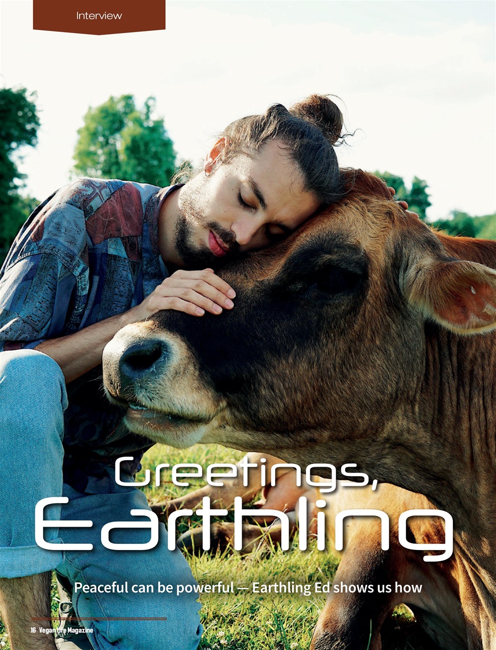 Vegan Life Preview Pages