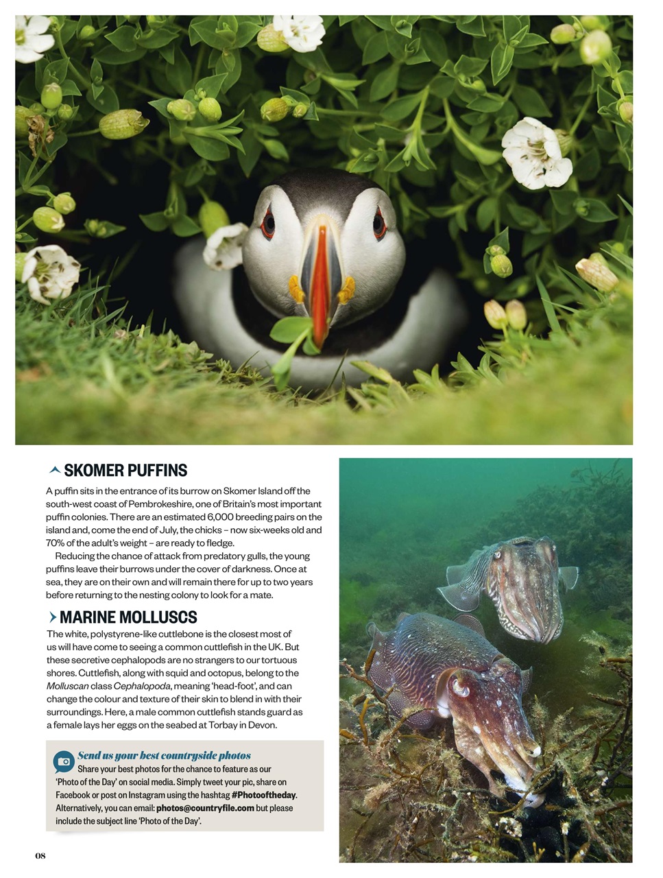 BBC Countryfile Magazine Preview Pages