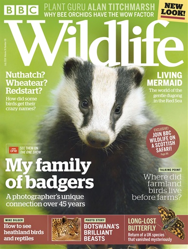 BBC Wildlife Magazine issue 