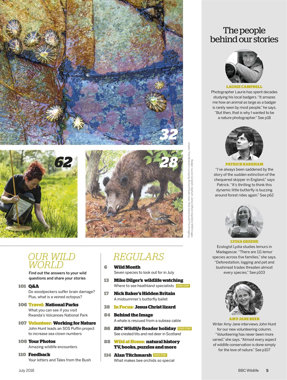 BBC Wildlife Magazine Preview Pages