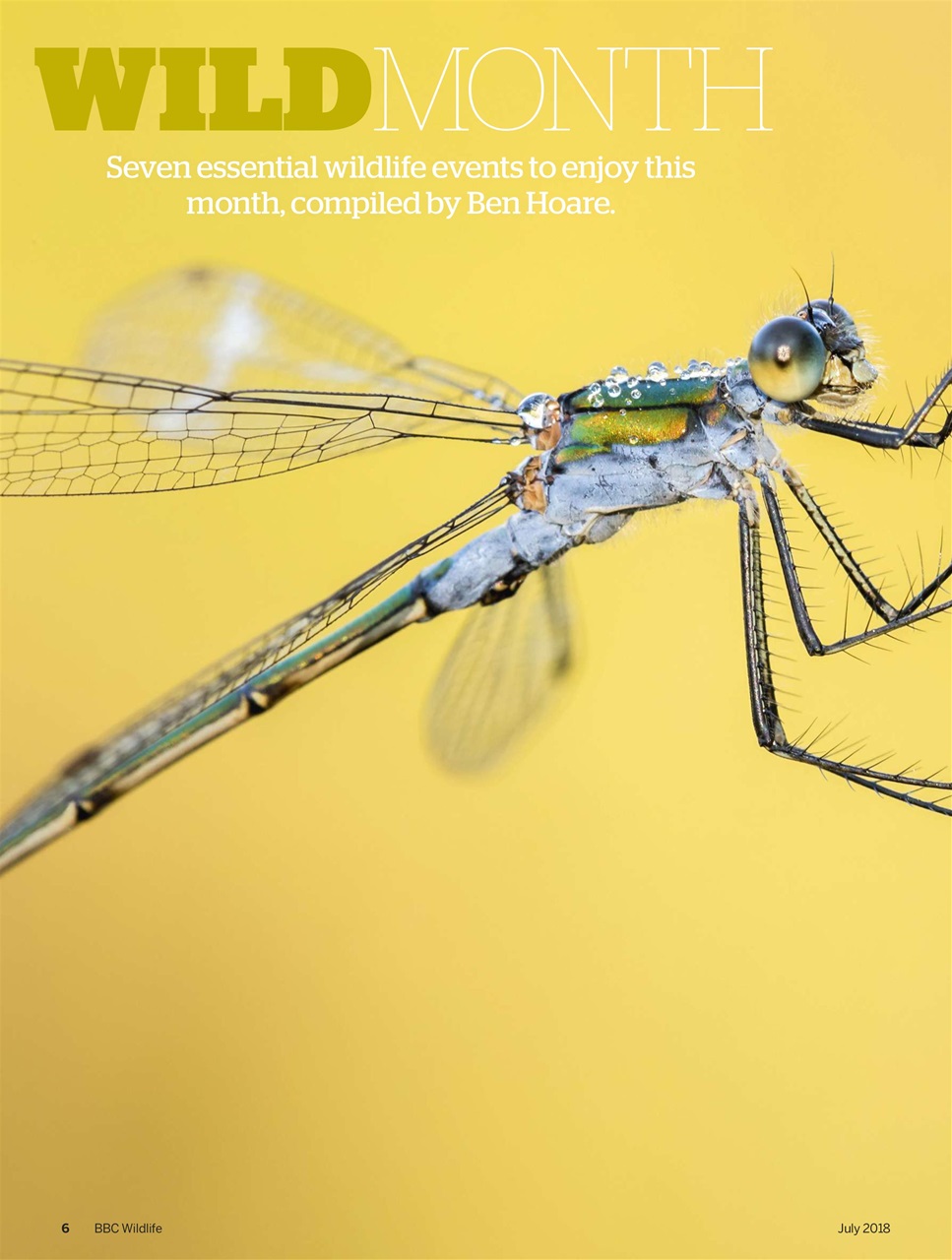 BBC Wildlife Magazine Preview Pages