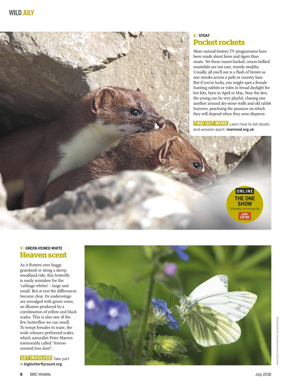 BBC Wildlife Magazine Preview Pages