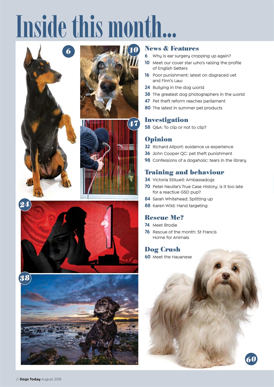 Dogs Today Magazine Preview Pages