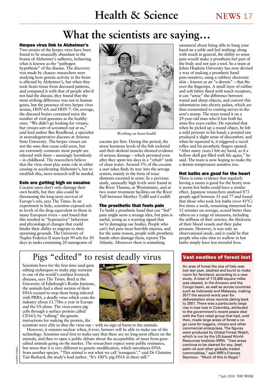 The Week Preview Pages